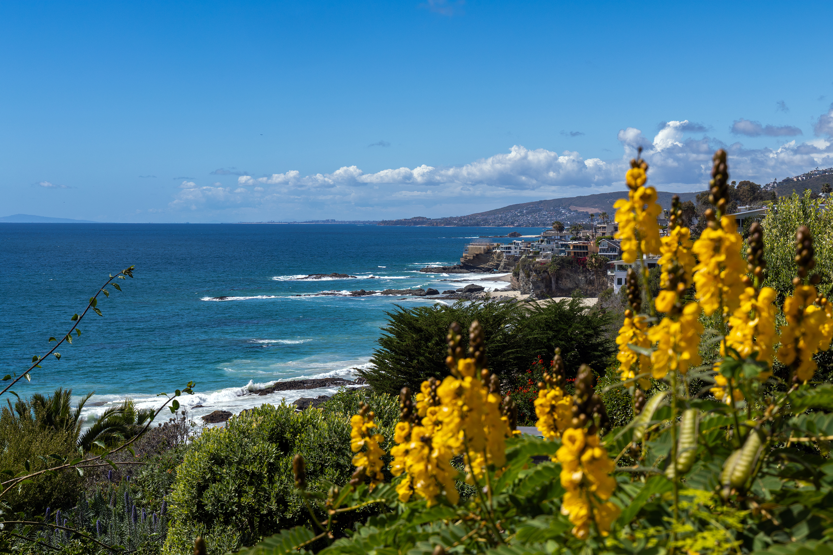 Coastal view looking north
