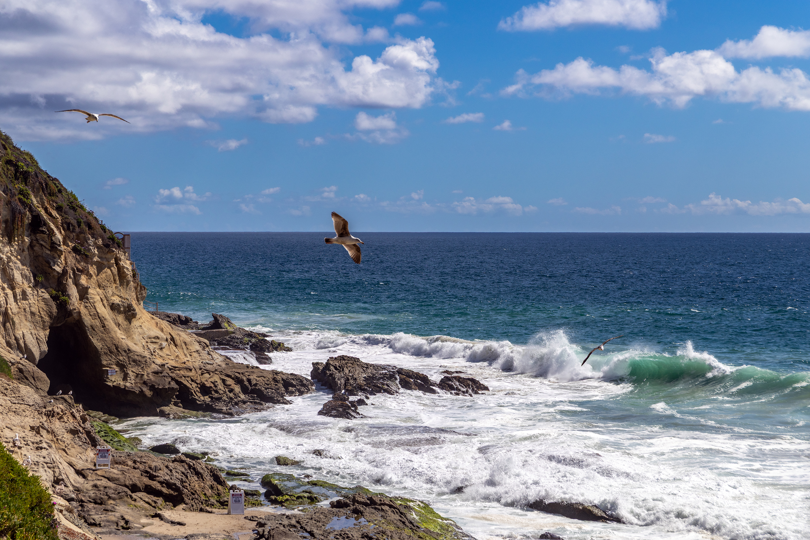 Rocky cove with seagulls